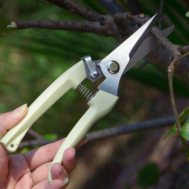 Gardening garden tool branches cutting anti -sliding handle, cutting stainless steel branches, cutting flowers, crop branches, garden scissors
