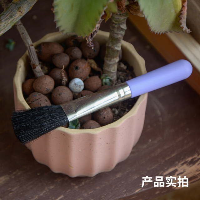 Succulent plant moss tool soft hair green small leaf dust removal cleaning brush gardening pot cleaning grey removal powder
