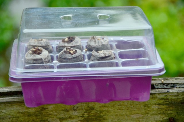 Maintenance blocks compressed nutritional foundation block peat gardening sowing soil vegetable flower succulent universal seedling box
