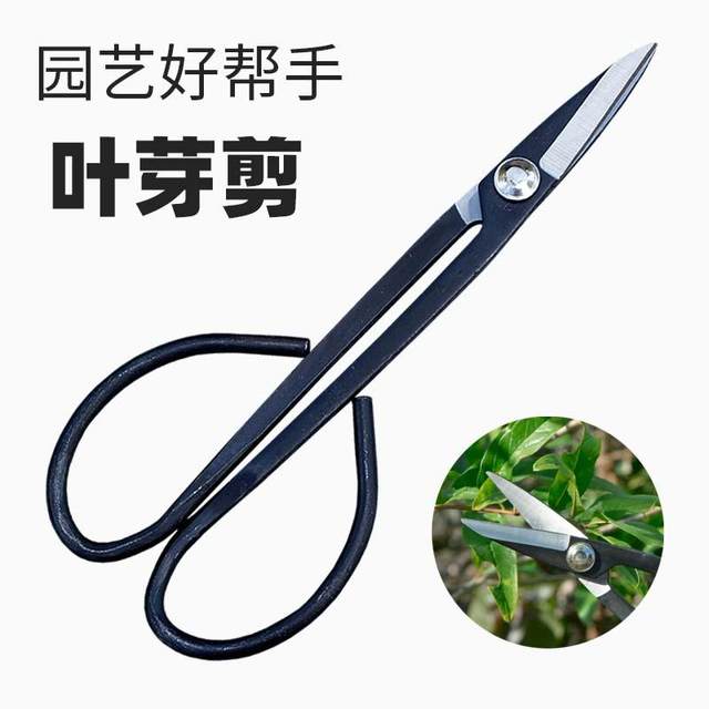 Leaf bud scissors, bonsai orchid bud splitting scissors, grape picking special potted vegetables and fruits pruning twig bud scissors