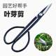 Leaf bud scissors, bonsai orchid bud splitting scissors, grape picking special potted vegetables and fruits pruning twig bud scissors