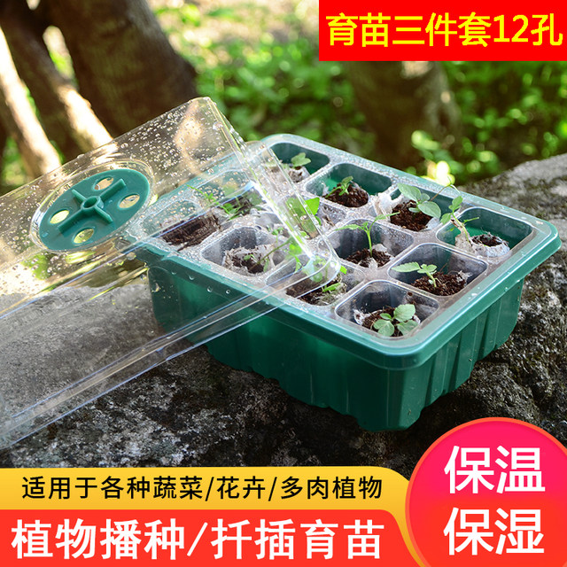 Succulent leaf insert seedling pot three-piece set culture sowing box moisturizing warm seedling tray 12 holes plastic seedling box cover