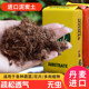 Danish peat soil imported succulent nutrient soil planting soil organic soil flower soil peat soil universal cauliflower matrix