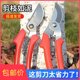Gardening branches cutting gardening tool Scissors scissors scissors Spring fruit cutting garden scissors scissors and cut flowers
