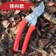 Gardening branches cutting gardening tool Scissors scissors scissors Spring fruit cutting garden scissors scissors and cut flowers
