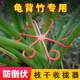 Monstera support pole flower support frame branch trunks plant anti-looping support green plant flower stand fixing tool
