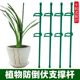 Plant support pole Monstera flower support frame green plant gardening vegetable tomato climbing pergola anti-lodging fixed artifact