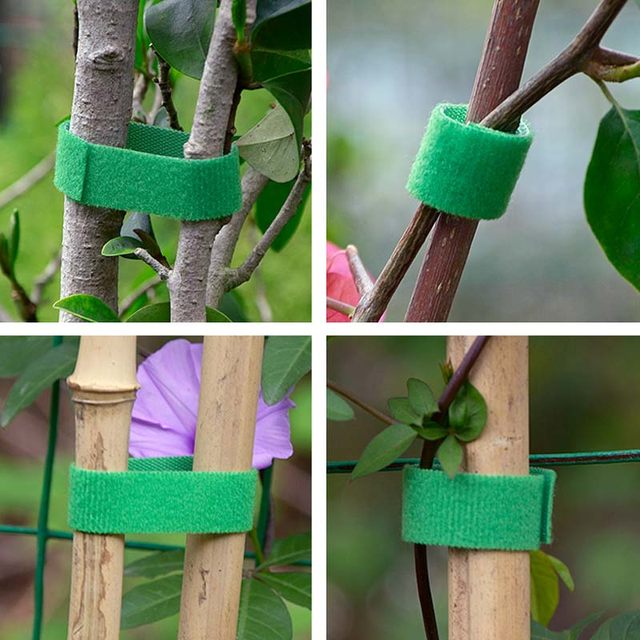 Climbing green plant strap shape Velcro decal garden with double-sided sticky gardening thread bundled support flower arrangement fixing