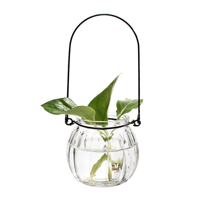 9-pack hanging transparent glass vases pumpkin small hanging bottles simple hydroponic flower pots indoor gardening home decoration