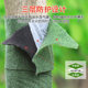 Tree wrapping cloth, big tree cold protection belt, antifreeze cloth, tree protection cloth, non-woven fabric, gardening green plant, warm tree, winter tree wrapping cotton