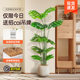 Nordic light luxury simulated monstera bamboo large indoor living room floor-standing home landscaping potted green plant decorative ornaments