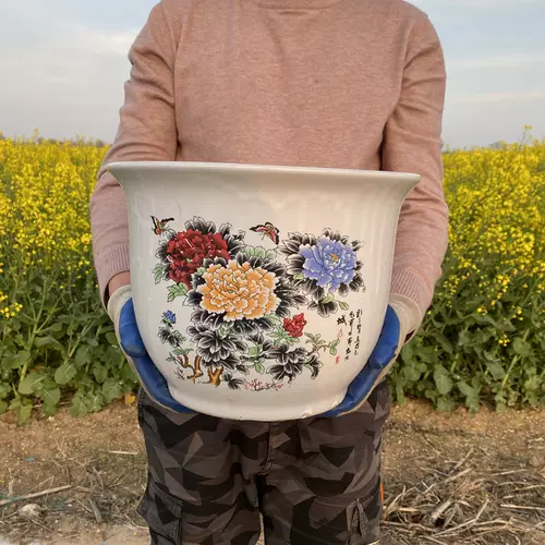 秀妍多肉 新人首单立减十元 22年2月 淘宝海外