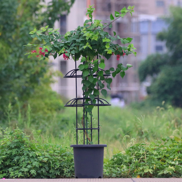 Medium-sized gardening flower stand single double circle umbrella-shaped multi-ring climbing pergola clematis climbing frame plant rose flower stand
