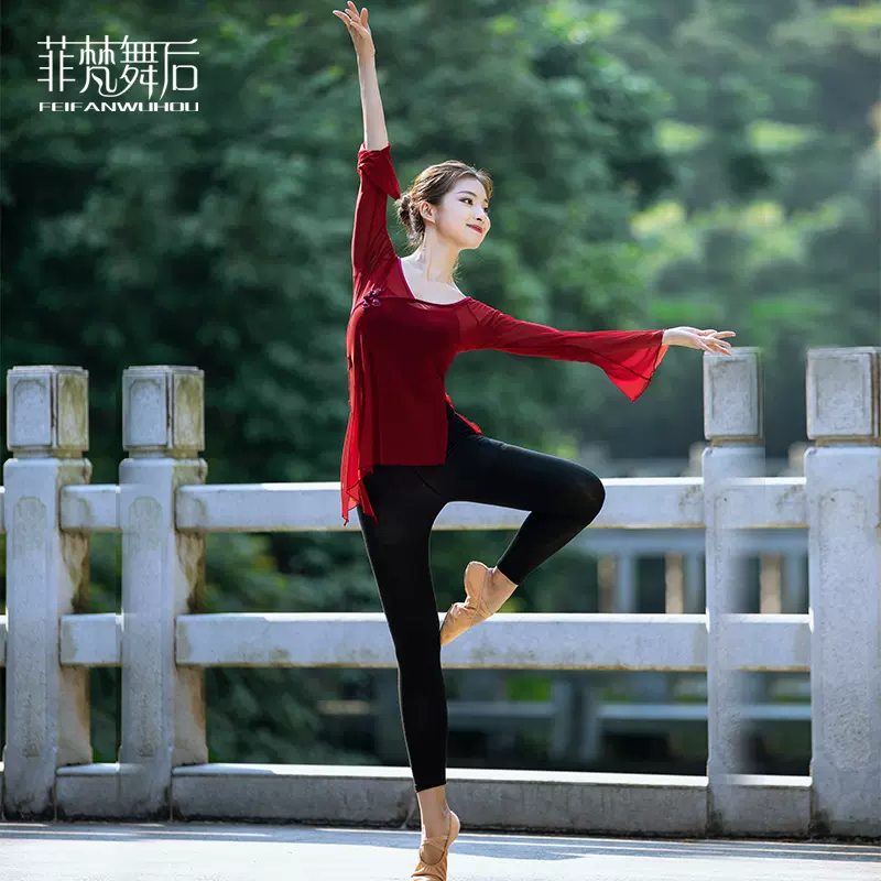 中国风古典舞蹈练功服女成人表演出服装身韵服纱衣