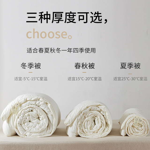 MUJI Class A 51% soybean spring, autumn and winter quilt core single and double student dormitory four-season summer cool air-conditioned quilt