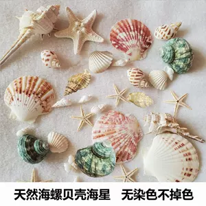 天然海螺貝殼風鈴- Top 500件天然海螺貝殼風鈴- 2024年1月更新- Taobao