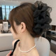Starry hair clip for women 2025 new temperament hair clip for feather clip for high-end shark clip for back head clip headgear