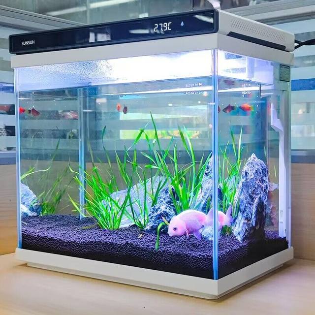 View of Sensen ultra-white glass fish tank living room small household aquarium ...