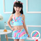 Girls Swimwear 2025 New Split Skirt Baby Princess Summer Middle and Large Children's Bikini Children's Swimwear