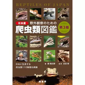 爬蟲類動物 新人首單立減十元 22年10月 淘寶海外