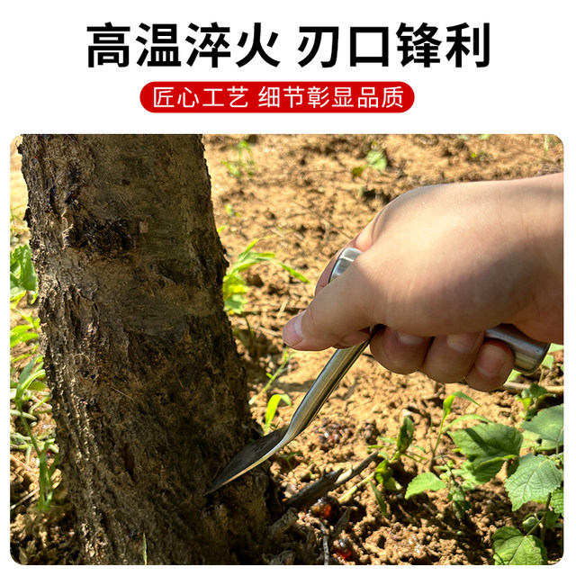 Small shovel stainless steel shovel gardening succulent shovel digging wild vegetables special shovel for agricultural weeding digging soil planting