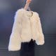 Imitation fox fur eco-friendly fur coat for women winter short solid color high-end temperament young lady versatile