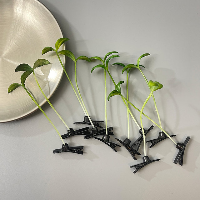 Creative, fresh, cute and funny simulated three-dimensional grass bean sprouts with grass growing on children's heads for sale sprouting hair clips on the top of the head