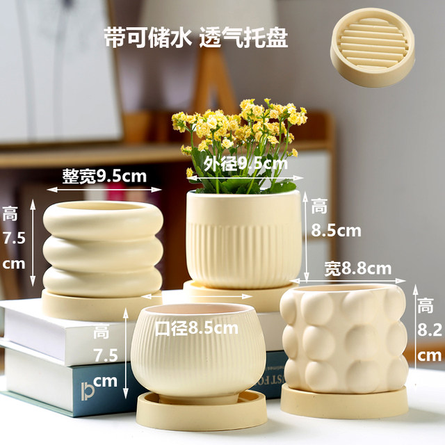 Ceramic succulent flower pot household green ivy exquisite white light luxury creative cream style succulent special pot large size