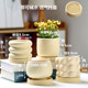 Ceramic succulent flower pot household green ivy exquisite white light luxury creative cream style succulent special pot large size