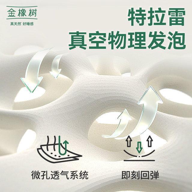 Golden Oak Trale Natural Latex Pillow Cloud Feeling Pillow