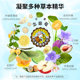 Kyoto Ninjian Throat Lozenge Gift Box Loquat Mint Kumquat Four Flavors with Candy for Teachers and Anchors Practical for Throat Protection