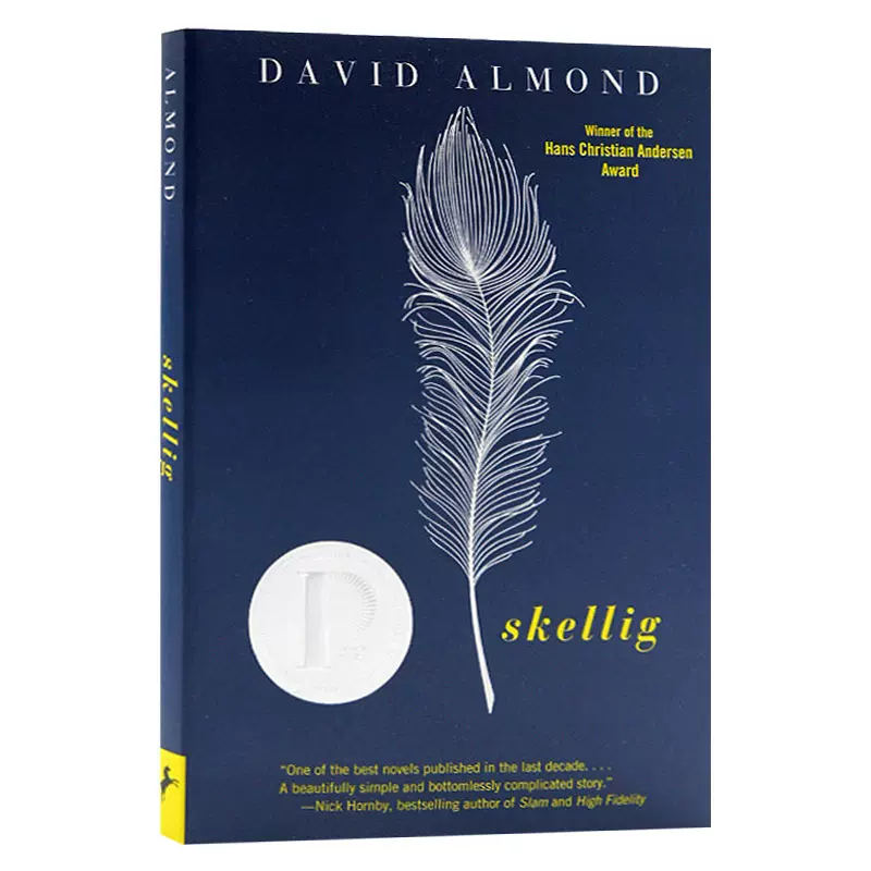 当天使坠落人间英文原版小说skellig 普林兹文学奖英文版青少年英语课外阅读david Almond 戴维阿蒙德进口原版书籍
