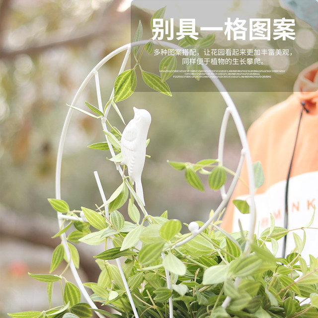 Gardening iron style Flower rack Potted Xueying Mountain Turtle Dragon Climbing Vine Flower Small Iron Lotus Plants
