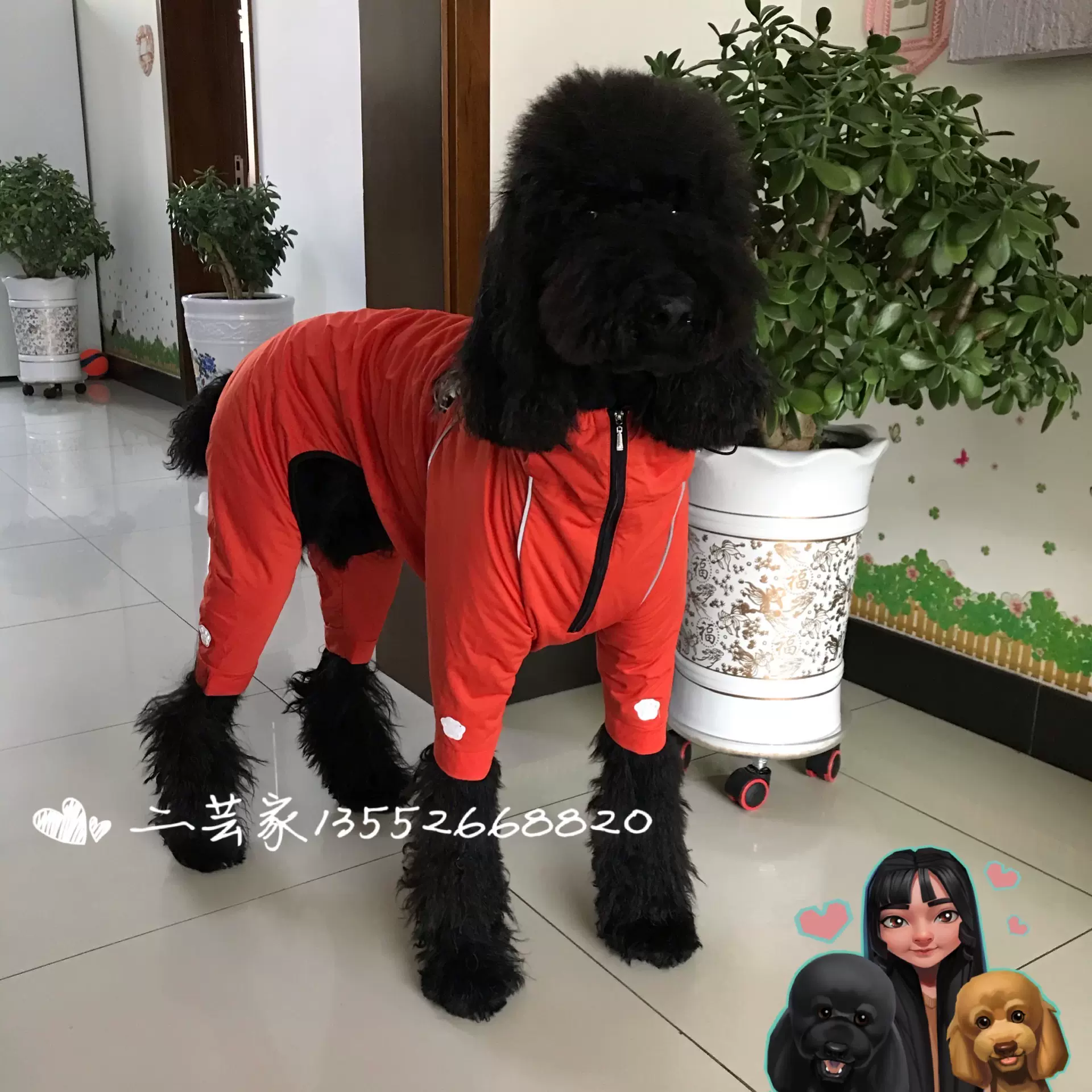 包邮日本dogdept大型犬宠物冲锋衣雨衣轻便超强防水性巨贵