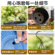 New simple imitation rattan green radish hanging basket basin hanging home green plant potted hanging orchid flower pot manufacturer sends hanging chain
