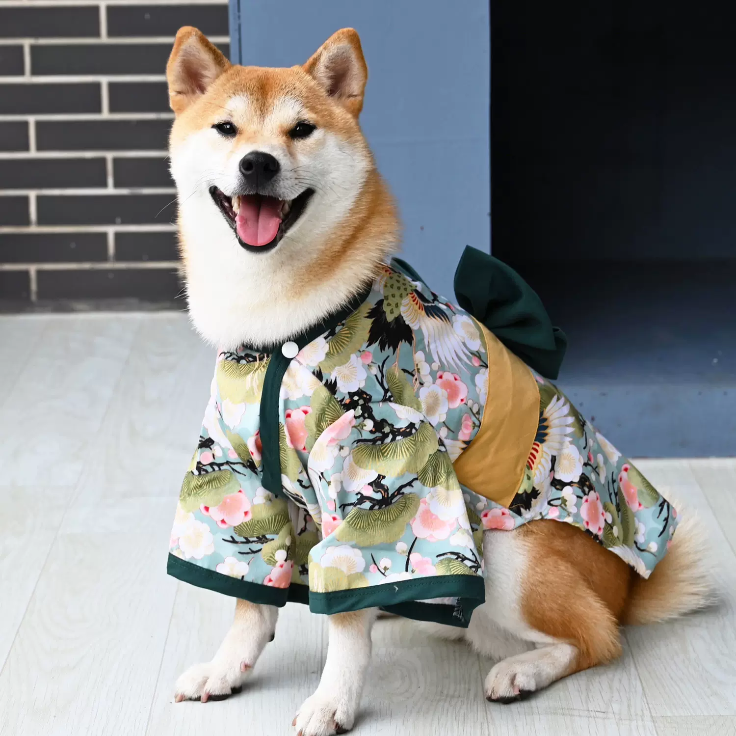 狗狗和服 新人首單立減十元 21年10月 淘寶海外