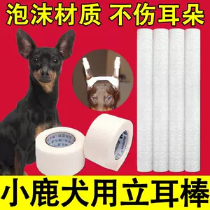 狗狗耳朵矯正 新人首單立減十元 22年11月 淘寶海外