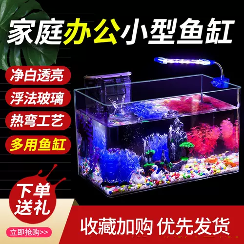 水族彩金鱼 新人首单立减十元 22年1月 淘宝海外