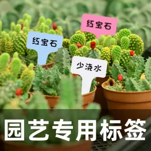 植物分类插牌 新人首单立减十元 22年3月 淘宝海外