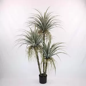 户外植物盆栽22年4月 月销口碑最新推荐 天猫淘宝海外