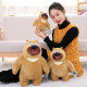 Bear Kuang Bear Big Bear Plush Toys Bald Doll Set Doll Trinks Children's Gifts Children's Gift
