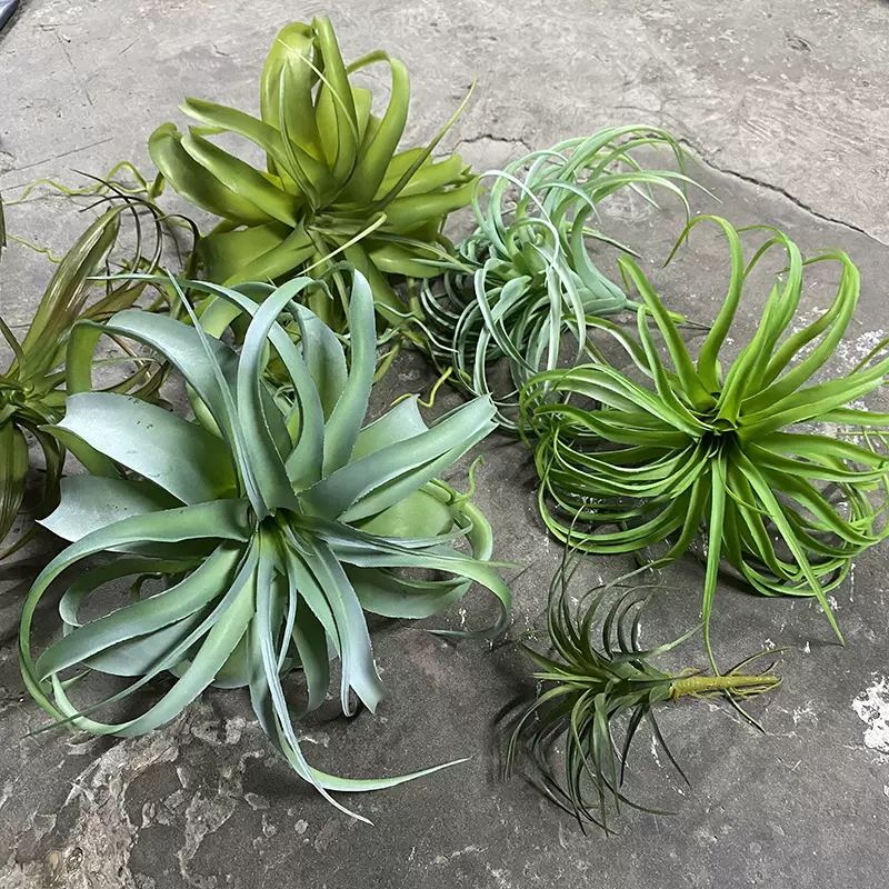 仿真植绒空气草凤梨卷叶草大型沙漠多肉植物北欧装饰造