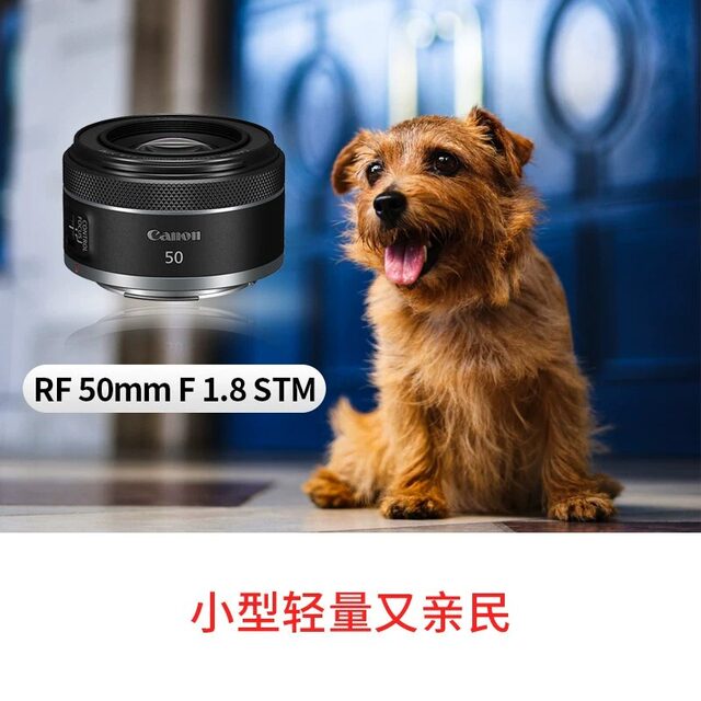 Canon RF50mm F1.8 STM full frame micro single fixed focus lens rp small spittoon 50 1.8