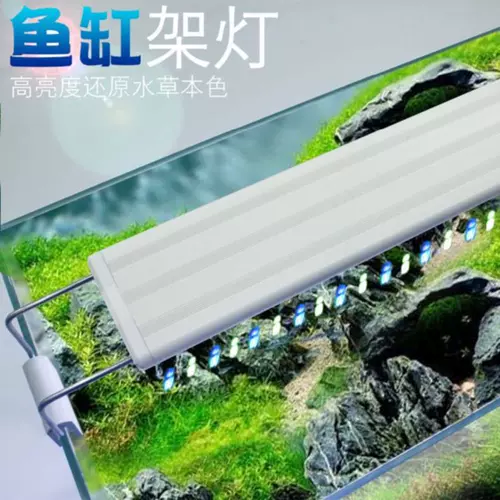 长条水草缸灯 新人首单立减十元 22年2月 淘宝海外