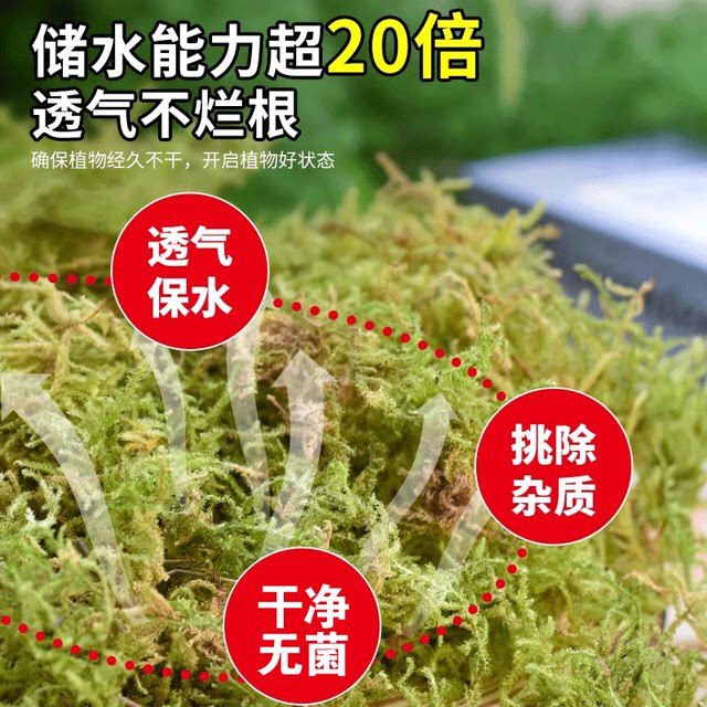 Dry moss, sphagnum moss, moss orchid, Phalaenopsis orchid, dendrobium planting special nutritional soil plant material turtle hibernation water table