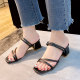 Internet celebrity two-wear sandals for women 2025 summer new Korean version versatile fashion simple thick heel open-toed sandals for women
