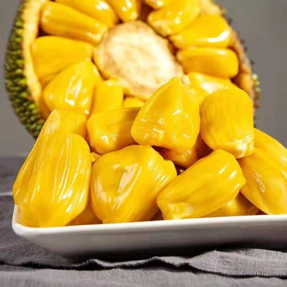 现摘现发海南三亚菠萝蜜 新鲜热带水果当季菠萝蜜木菠萝整个