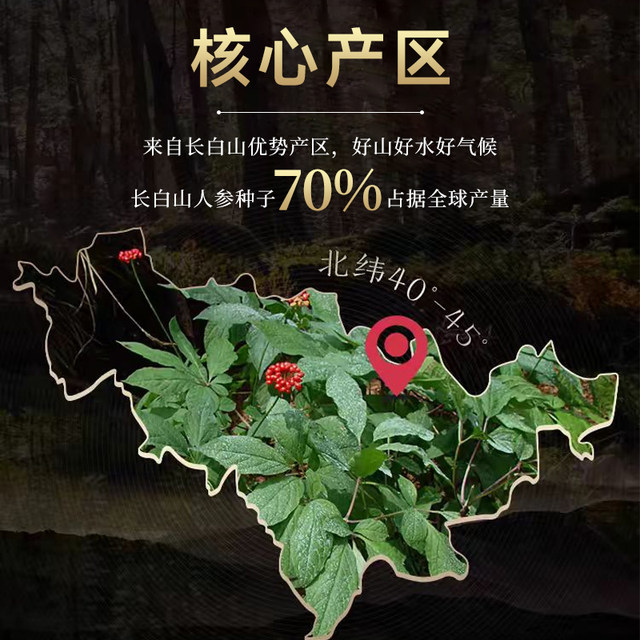 Ginseng Changbai Mountain Seed Wild Ginseng Seeds Planting Seedlings in Four Seasons Sowing Balcony Pot Planting Perennial Medicinal Materials Vegetable Seeds