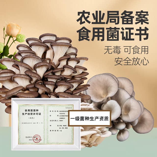 Mushroom growing bag children's edible mushroom bag oyster mushroom strain home grown shiitake mushroom home fresh mushroom stick wholesale lazy person