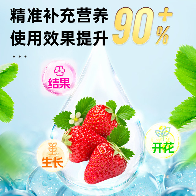 Strawberry Nutrition Solution Strawberry Fertilizer Special Fertilizer Organic Fertilizer Pot Nutritional Fertilizer Water-soluble Fertilizer Flowering and Fertilizer
